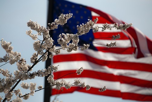 US Government Flag: Investing 101 for Government Employees